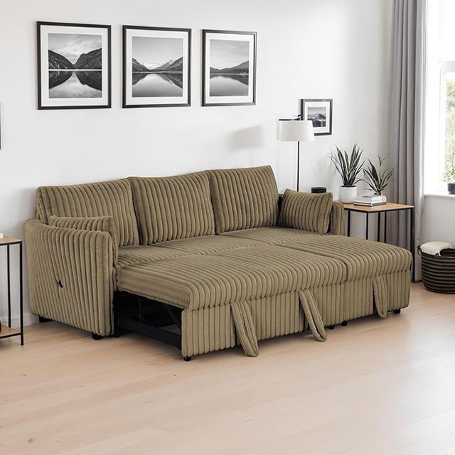 Denholme Sectional w/ Pull Out