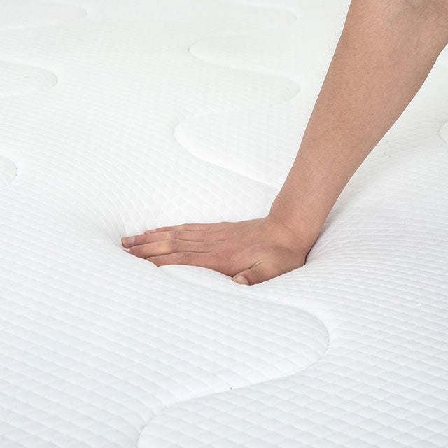 Catmint 12" Twin Innerspring Mattress